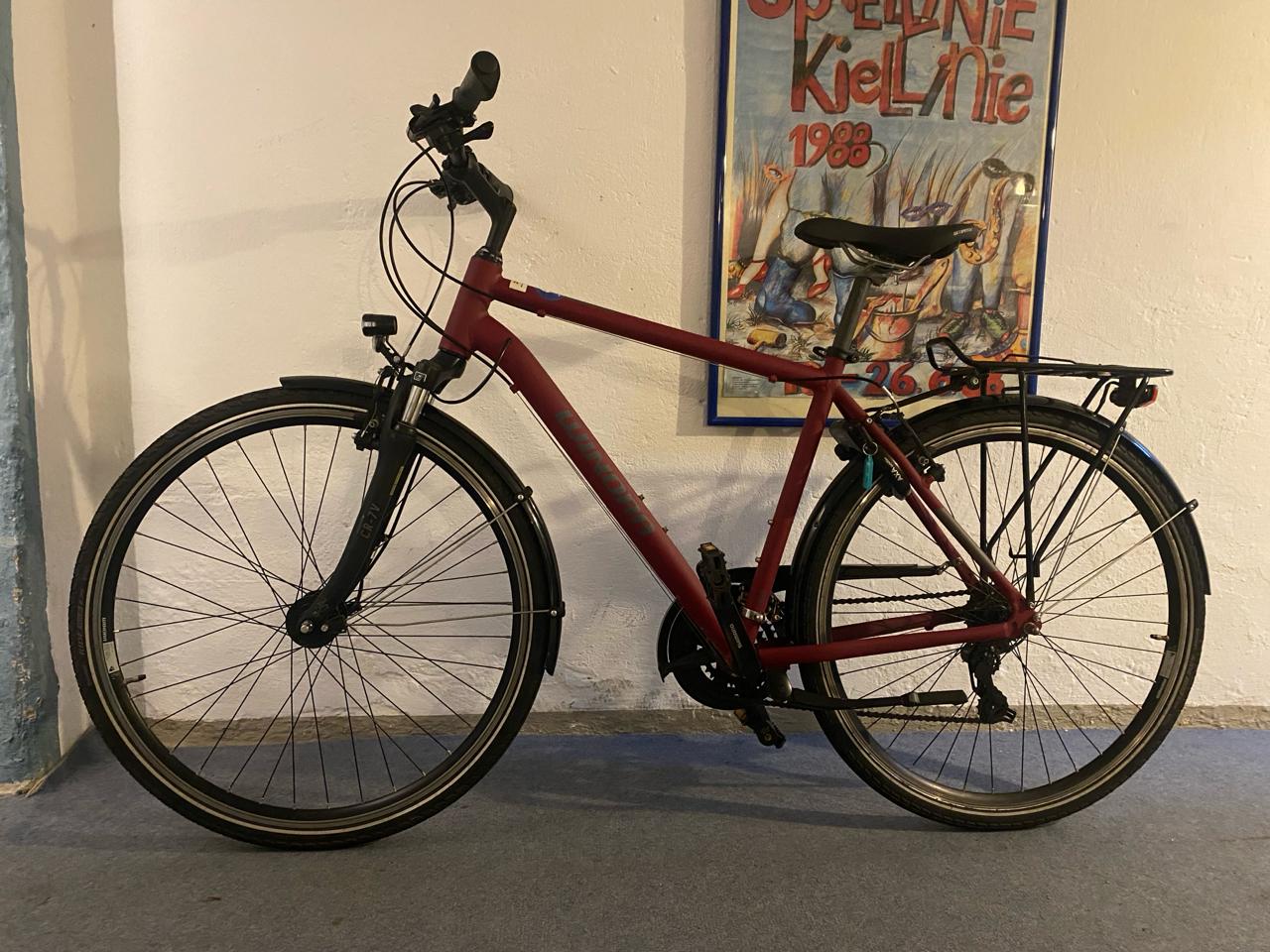 Winora Herren Trekking Fahrrad gebraucht Größe M (25-74)