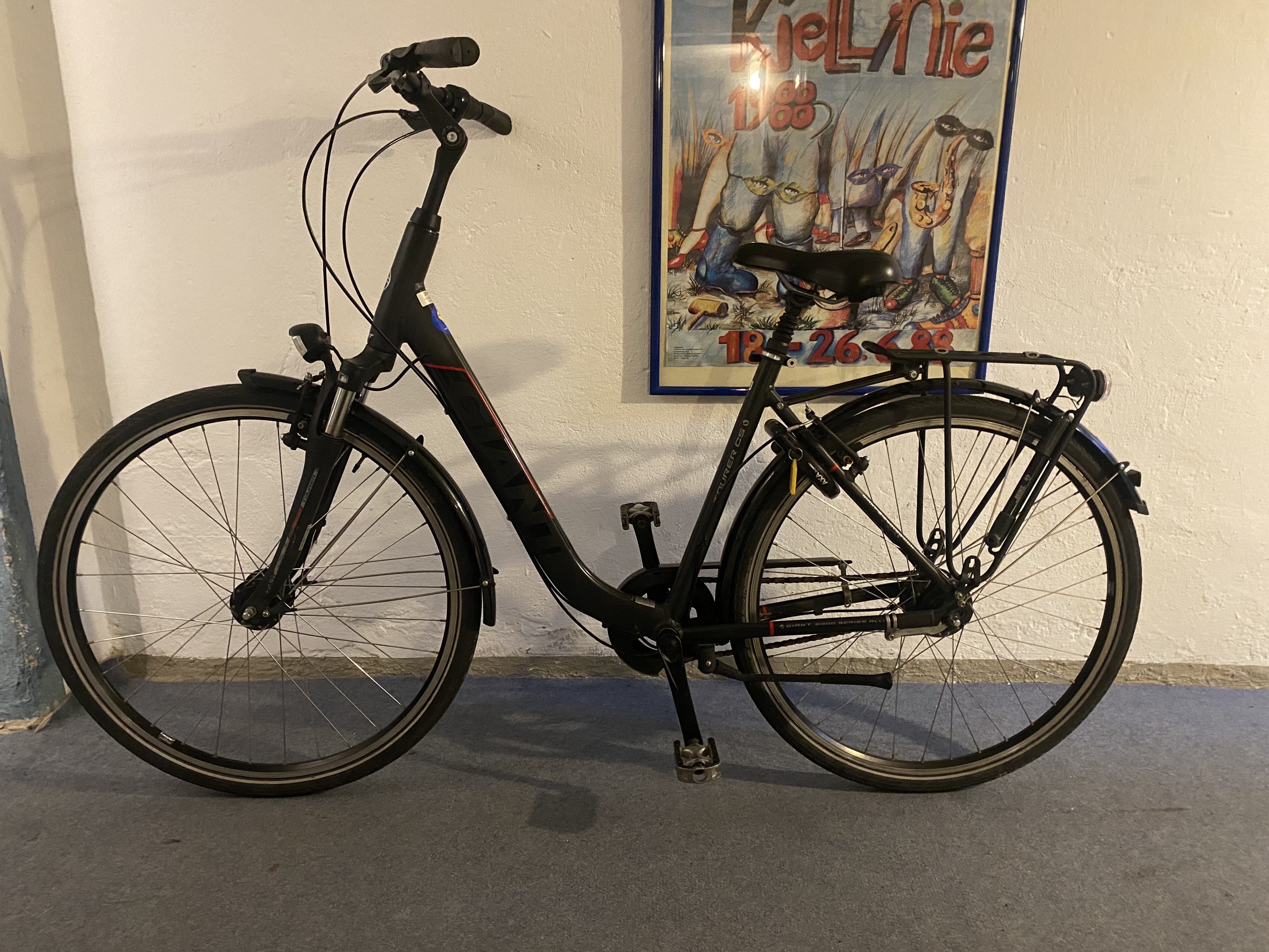Giant Damen Tourer LDS Fahrrad gebraucht (21-72)