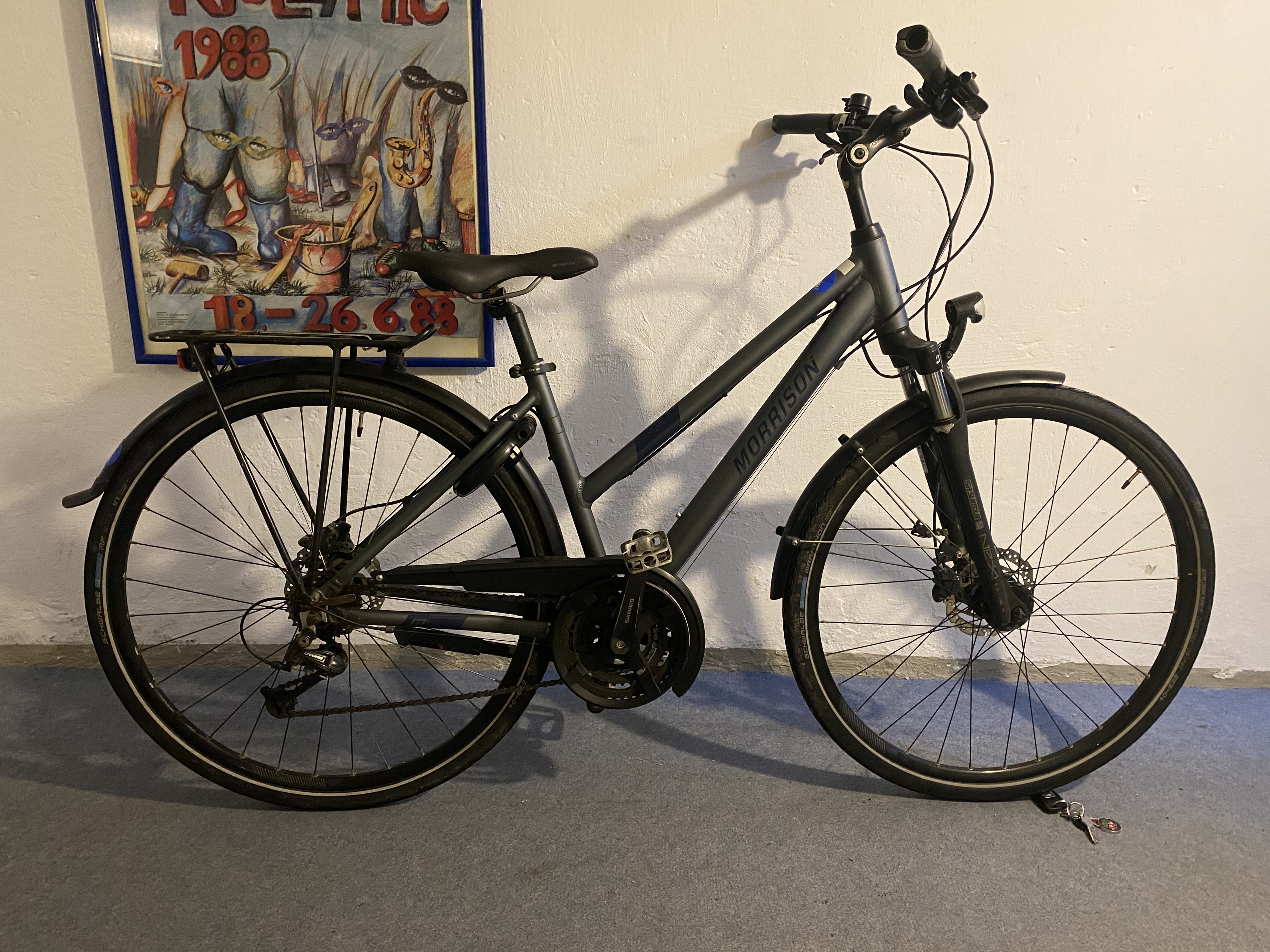 Morrison Damen Trekking Fahrrad gebraucht (21-78)